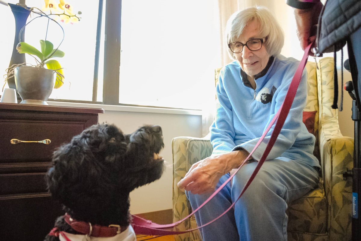 senior lady sitting in chair smiling at black dog